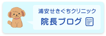 浦安せきぐちクリニック通信　院長ブログ